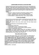 Konspekts 'Filosofija', 3.