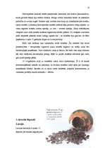 Referāts 'Nauda Latvijas teritorijā', 14.