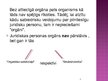Prezentācija 'Juridiskas personas orgāni, atrašanās vieta, filiāles un pārstāvniecības', 6.