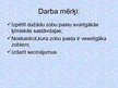 Prezentācija 'Zobu pastas', 2.