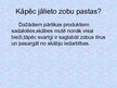 Prezentācija 'Zobu pastas', 3.
