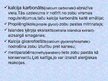 Prezentācija 'Zobu pastas', 7.