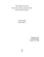 Referāts 'Ķēžu teorija', 1.