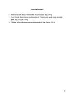 Referāts 'Ķēžu teorija', 30.