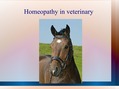 Prezentācija 'Homeopathic Remedies', 25.