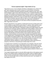 Eseja 'Tūrisma uzņēmuma iegāde - Virgin Atlantic Airways', 1.