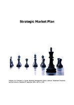 Biznesa plāns 'Strategic Marketing Plan', 1.