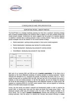 Biznesa plāns 'Strategic Marketing Plan', 17.