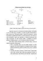 Referāts 'Komunikācijas būtība organizācijā', 6.