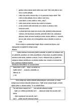 Paraugs 'Ieteikumi zinātniski patstāvīgo darbu veidošanai pamatskolas klasēs', 13.