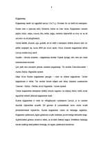 Referāts 'Latvijas derīgie izrakteņi', 8.