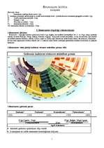 Konspekts 'Renesanse', 1.