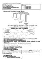 Konspekts 'Renesanse', 2.