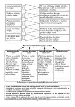 Konspekts 'Renesanse', 14.