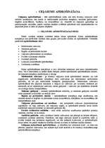 Referāts 'Apdrošināšana un tūrisms', 3.