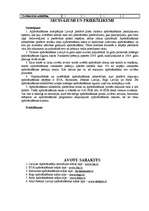 Referāts 'Apdrošināšana un tūrisms', 12.