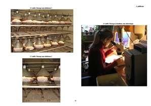 Diplomdarbs 'Augsnes mezofauna bioloģiskajā un konvencionālajā lauksaimniecības sistēmā Aizkr', 1.