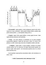 Diplomdarbs 'Augsnes mezofauna bioloģiskajā un konvencionālajā lauksaimniecības sistēmā Aizkr', 18.