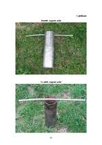 Diplomdarbs 'Augsnes mezofauna bioloģiskajā un konvencionālajā lauksaimniecības sistēmā Aizkr', 47.