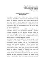 Eseja 'Etnopolitika. Nacionālisms', 1.