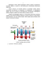 Referāts 'Bezpakāpju un daudzpakāpju pārnesumu kārbas', 7.