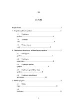 Biznesa plāns 'Biznesa plāns', 2.