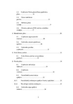 Biznesa plāns 'Biznesa plāns', 3.