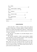 Biznesa plāns 'Biznesa plāns', 4.