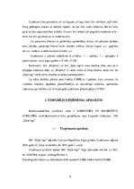 Biznesa plāns 'Biznesa plāns', 5.