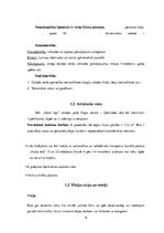 Biznesa plāns 'Biznesa plāns', 6.