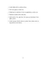 Biznesa plāns 'Biznesa plāns', 8.