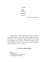 Biznesa plāns 'Biznesa plāns', 11.