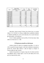 Biznesa plāns 'Biznesa plāns', 13.