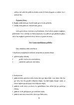 Biznesa plāns 'Biznesa plāns', 19.