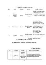 Biznesa plāns 'Biznesa plāns', 26.