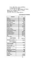 Biznesa plāns 'Biznesa plāns', 29.