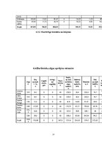 Biznesa plāns 'Biznesa plāns', 31.