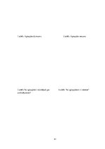 Biznesa plāns 'Biznesa plāns', 41.