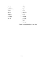 Biznesa plāns 'Biznesa plāns', 43.