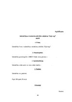 Biznesa plāns 'Biznesa plāns', 48.