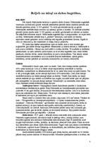 Referāts 'Nīderlande', 8.