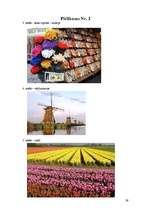 Referāts 'Nīderlande', 29.