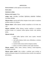 Diplomdarbs 'Laulības šķiršana un tās tiesiskās sekas', 3.