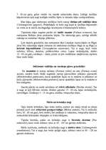 Referāts 'Graudzāles', 6.