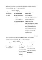 Diplomdarbs 'Asinhrono un sinhrono dzinēju salīdzinājums un izvēle', 20.