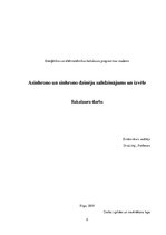 Diplomdarbs 'Asinhrono un sinhrono dzinēju salīdzinājums un izvēle', 59.