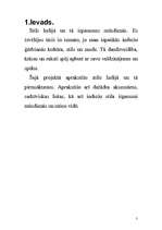 Referāts 'Stils Indijā un tā izpausmes mūsdienās', 3.