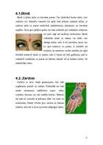 Referāts 'Stils Indijā un tā izpausmes mūsdienās', 11.