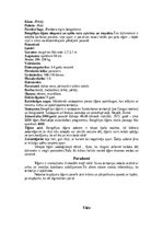 Referāts 'Tīģeris - dzimis, lai medītu', 4.