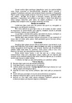 Referāts 'Tīģeris - dzimis, lai medītu', 5.